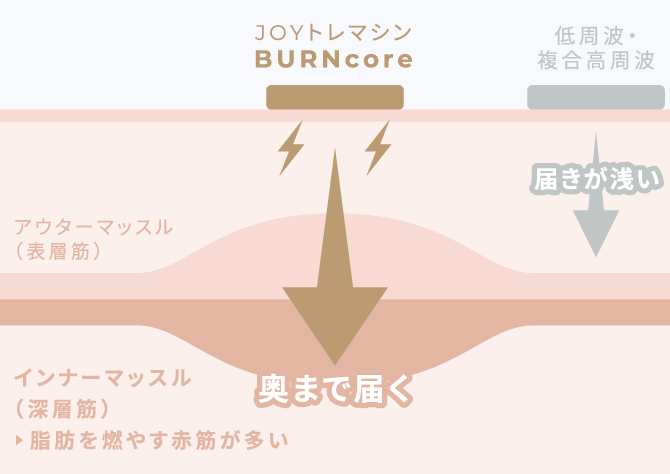 インナーマッスルとは